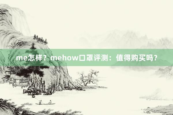 me怎样？mehow口罩评测：值得购买吗？